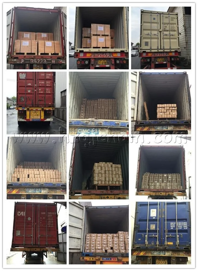 loading container.jpg