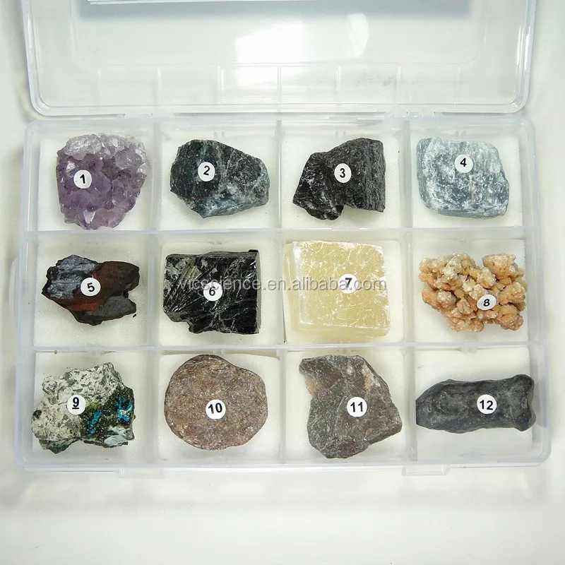Phywe Sample Rocks Box 12 Kinds Rock And Mineral Specimens Kits For Teaching Aids (1) - Buy ...