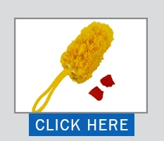 .jpg
