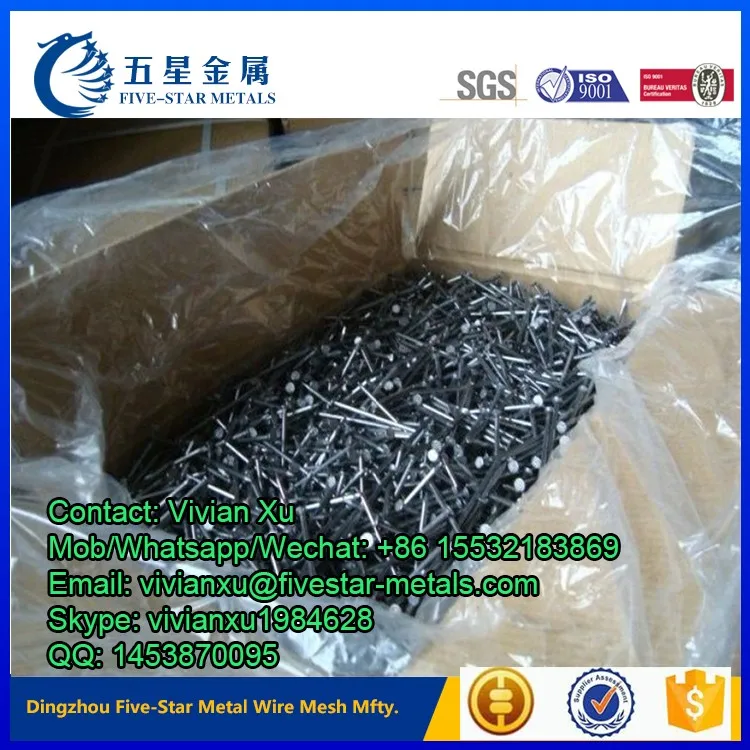 common wire nail uae.jpg