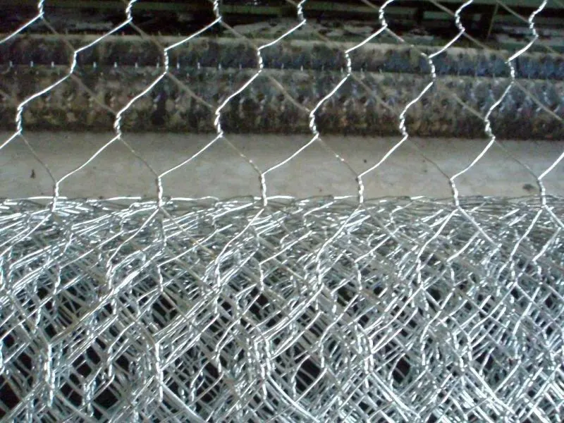 ts2008110718565444.jpg