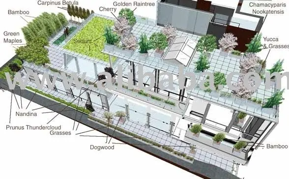 Roof Garden Plan - Home Design