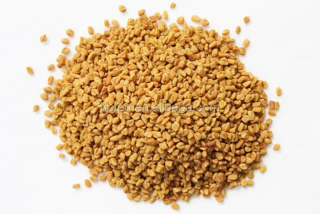 Natural Fenugreek Seed Extract (2).jpg