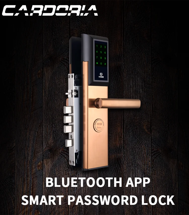Bluetooth Wifi Smart Door Lock Electronic Digital Code RFID Card TTLock App Hotel Door Lock Security System