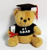 2019 University Teddy Bear / Graduation Soft Toy