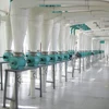 Low Cost Mini plant, small wheat flour mill machine for making, grinding wheat maize corn flour