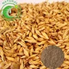 Anhaline Eremursine Peyocactine Hordenine malt extract powder barley