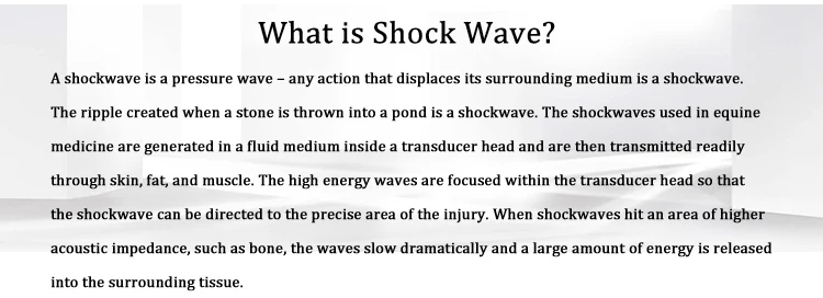 Newest extracorporeal shock body wave therapy / beauty equipments shock body wave / shock body wave therapy equipment