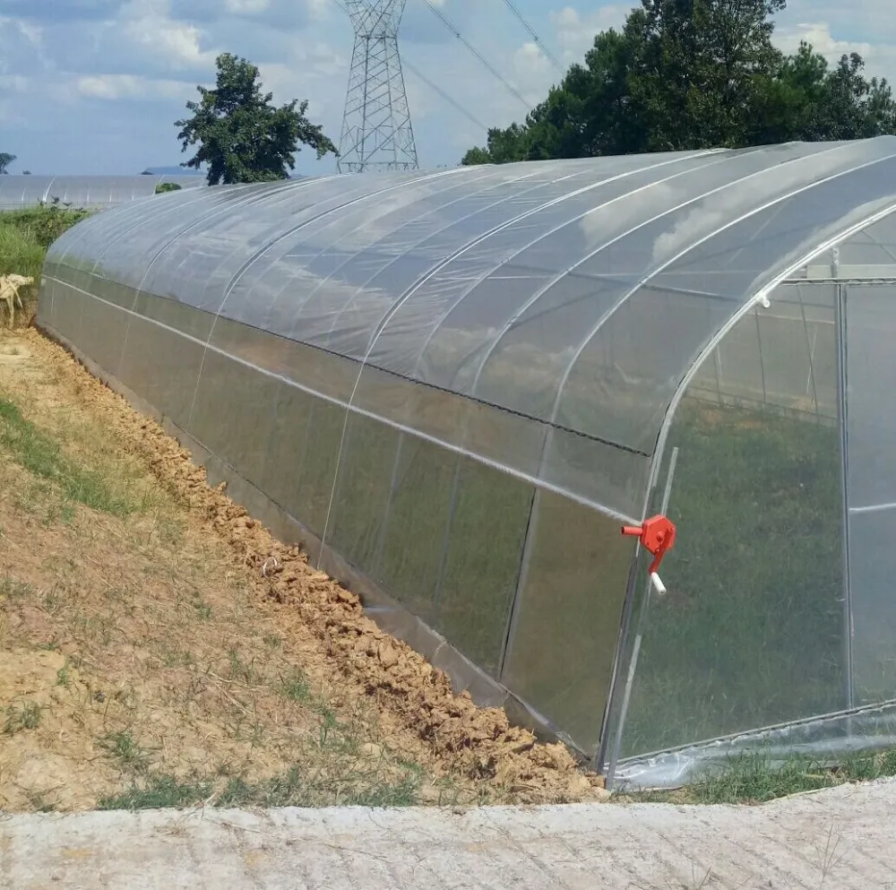 low-cost-and-30-x-100-galvanized-steel-garden-single-span-greenhouse