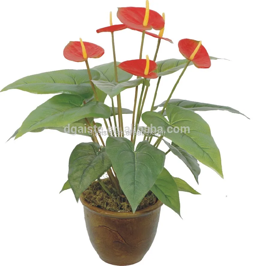 Feuille De Palmier Rouge En Caoutchouc En Forme De Cœur Fausse Plante Verte Bonsai 1 Piece Buy Plantes D Interieur Decoratives Bonsai En Caoutchouc Plantes Decoratives Pour L Exterieur Product On Alibaba Com