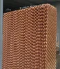 automatic poultry processing equipment cooling pad environment control ventilation system for chicken breeding layer broiler