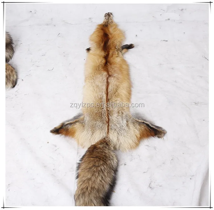 Just Face Fully Tanned Red Fox Face Hide Pelt 