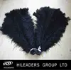 Cheap Black Ostrich Feather