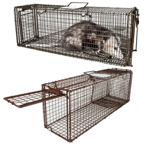 Three Size Live Catch Animal Trap Cage For Cats Rats Muskrats,Skunks ...