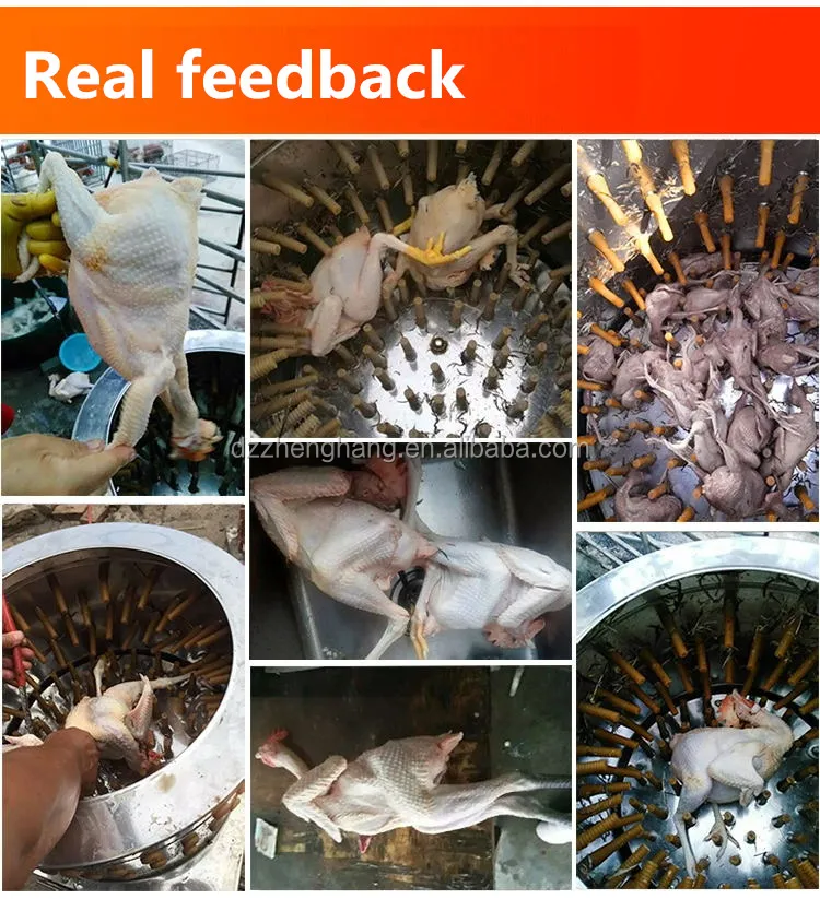 2345_image_file_copy_4