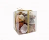 3 Style Mixed Natural Sea Shell Packed in PVC Box Decorated by Raffia