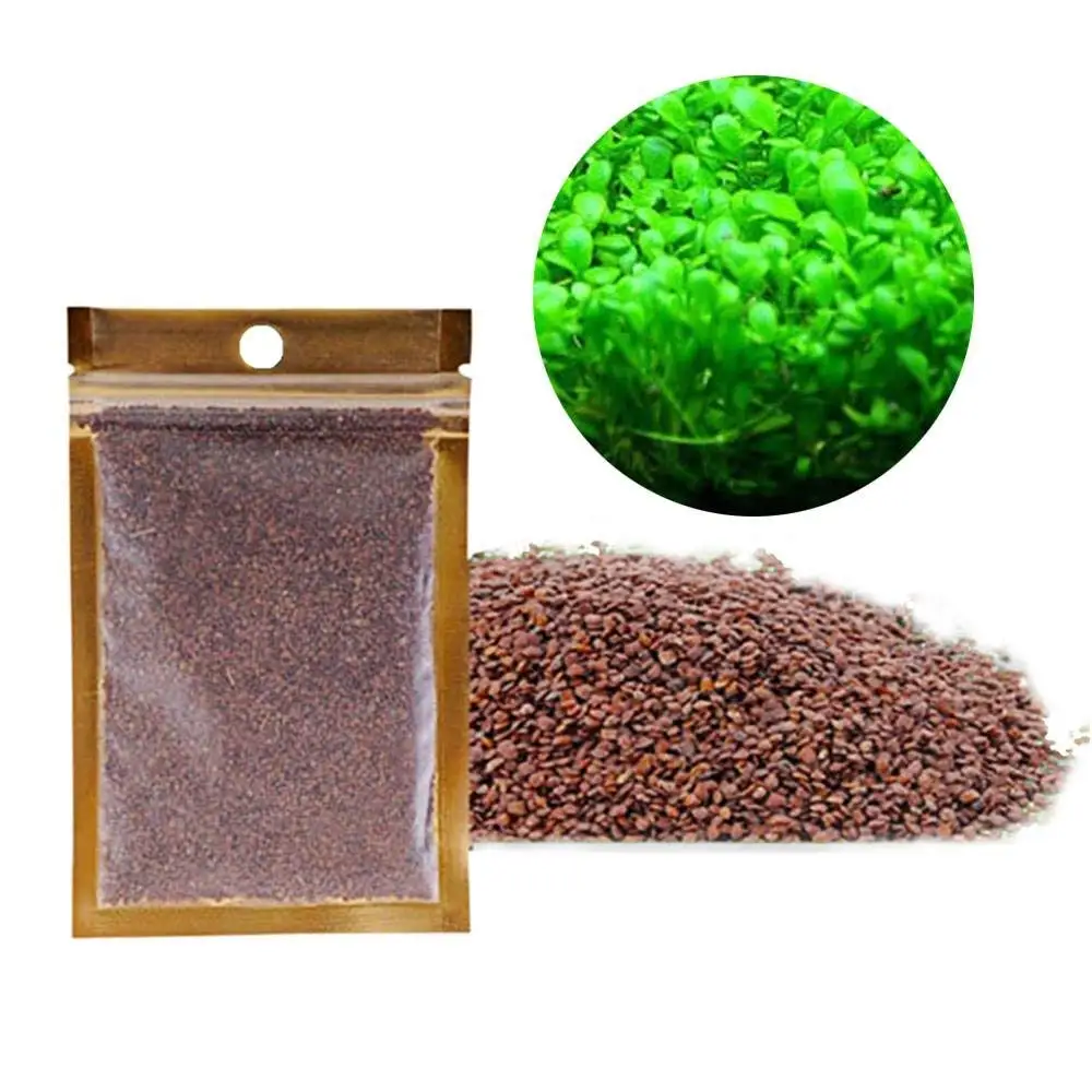 Cheap Aquarium Seeds, find Aquarium Seeds deals on line at