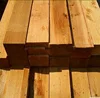 Rough cut pine wood timber with cheap price