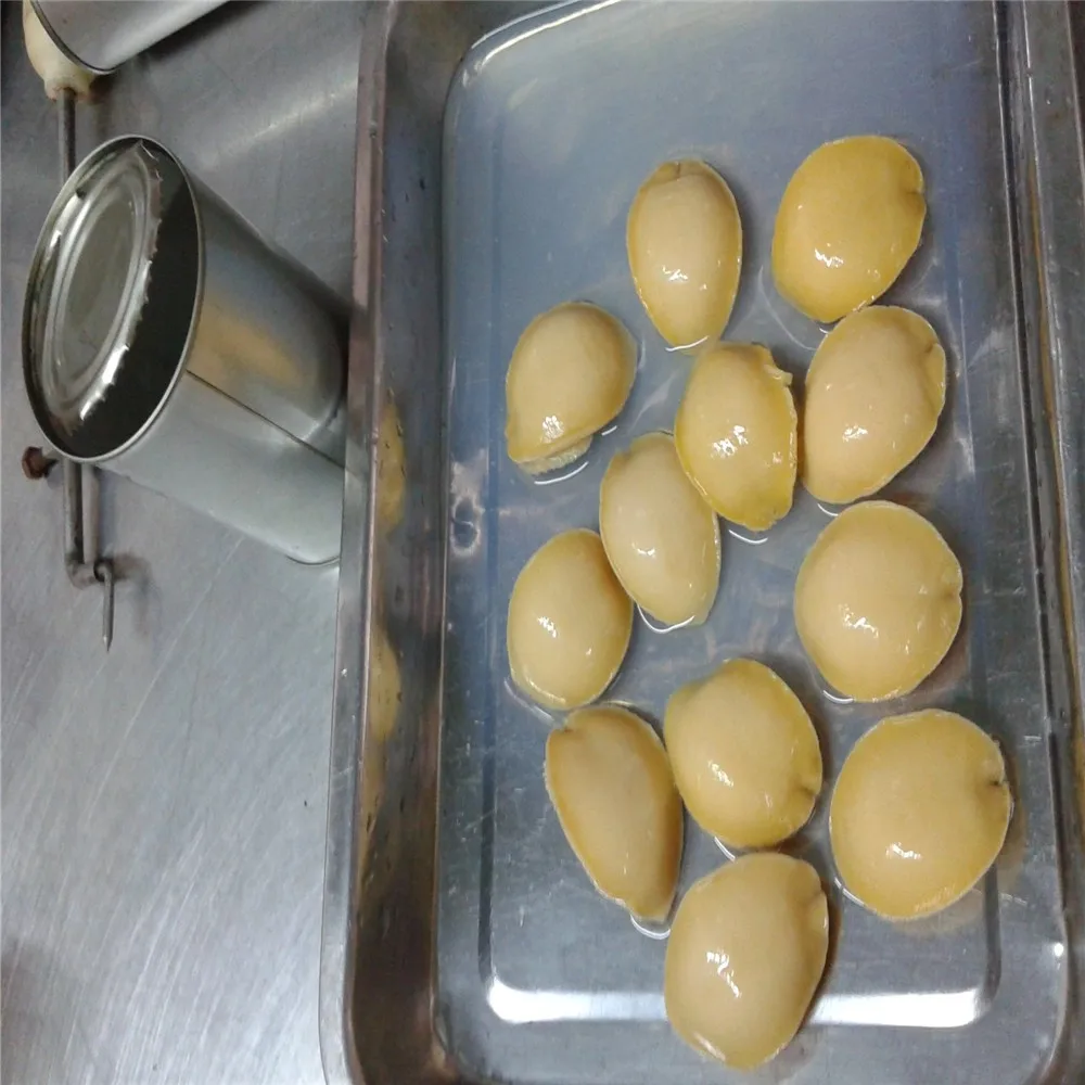 abalone04.jpg