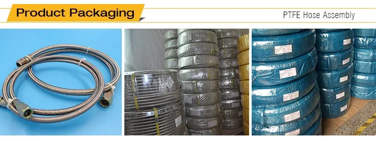 Ptfe Hose Assembly oem.jpg