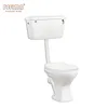 African hot selling twyford side flush hanging wc toilet with flow master