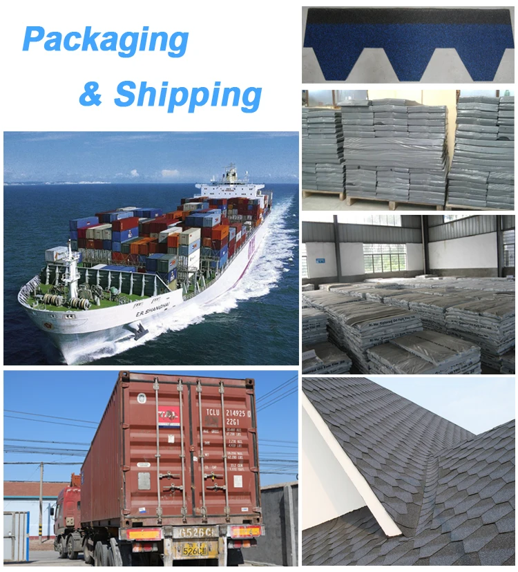 asphalt shingle01.jpg