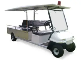 maini buggy cost