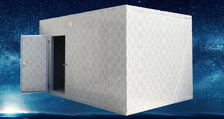 定制尺寸的鱼鸡食品储存冷冻机走在冷室制造商