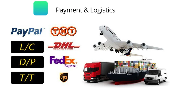 payment%20%26%20logistic