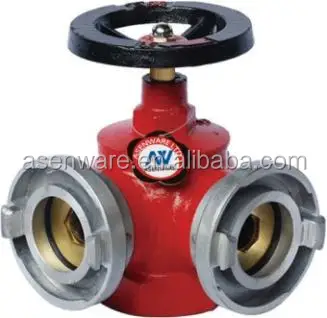Single valve dual outlet landing valve fire hydrant