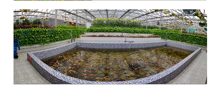 aquaponics system (7).jpg