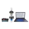 sperm analysis low morphology