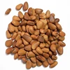 Chinese Direct Organic Price Dried Pine Nuts Kernel For Sale