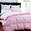 Unique Design Antibacterial Down Comforter/Duvet/Quilt