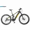 Full Suspension Electric Mountain Bike Mid Driving with Hidden Battery 48V14.5A