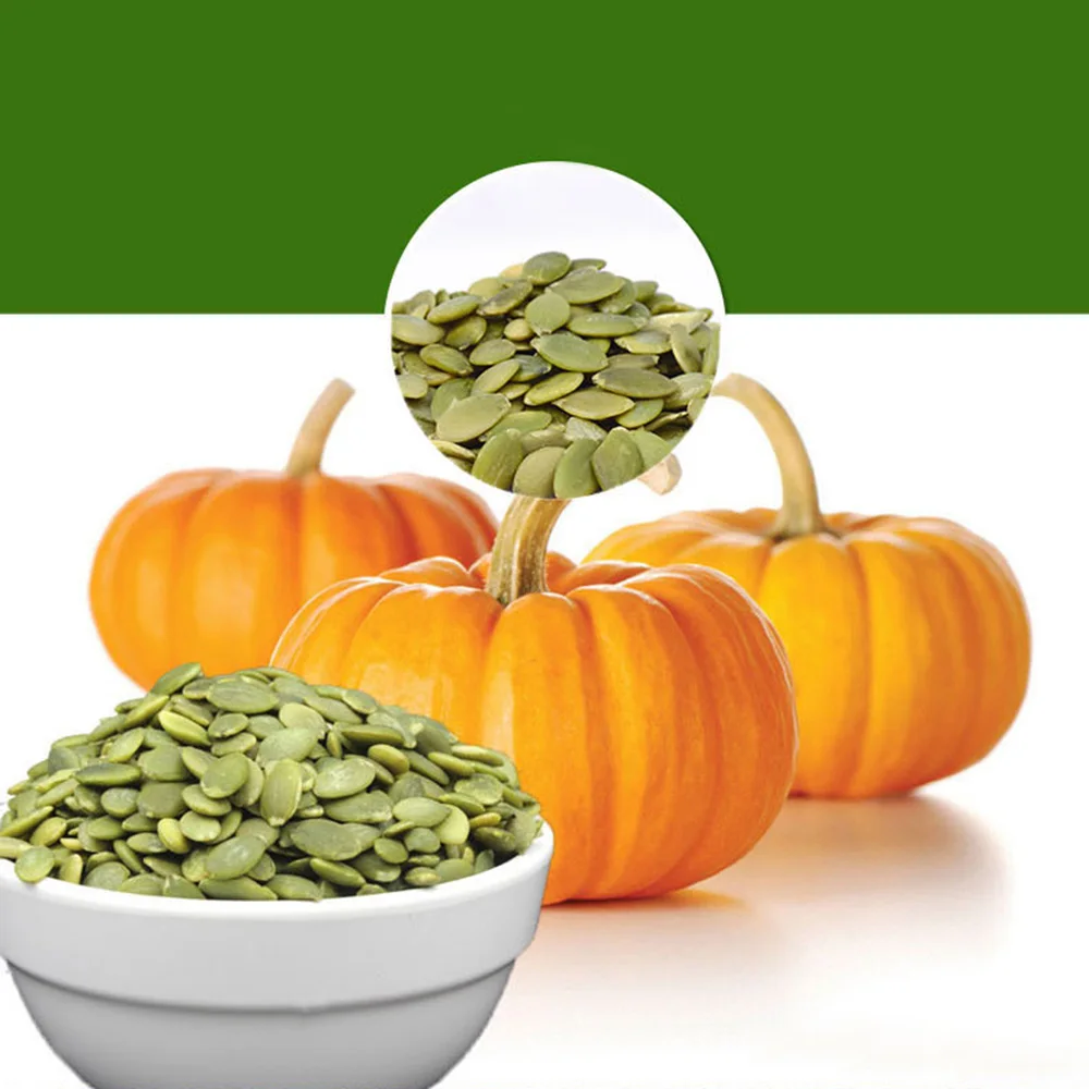 wholesale pumpkin seeds gws with low price
