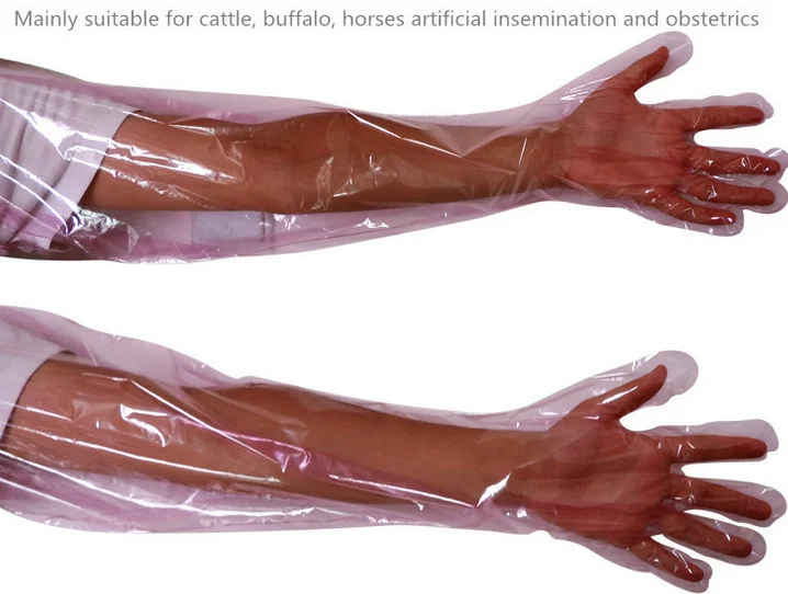 1l 2l Disposable Plastic Pig Semen Collection Bag For Pig Artificial 