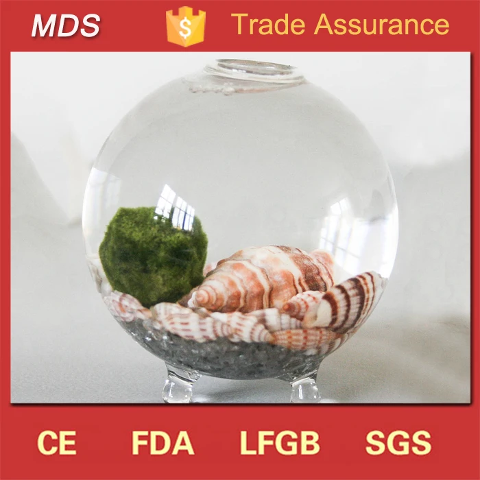 Handblown clear design glass vase mini terrarium wholesale