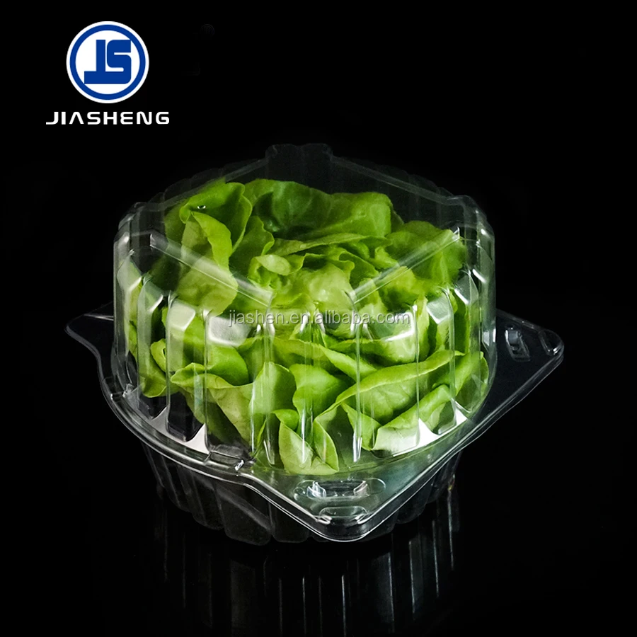 Plastic Blister Lettuce Crisper Clamshell Packaging For Living Lettuce