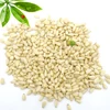 siberian pine nuts prices pine nuts for sale new crop pine nuts importer in china
