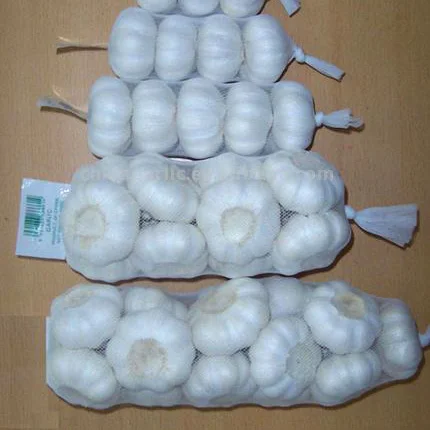 Garlic7.jpg