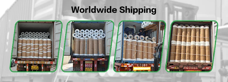 protective film18103103