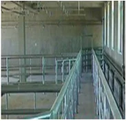 Halal camel slaughterhouse ritual camel slaughtering equipment
