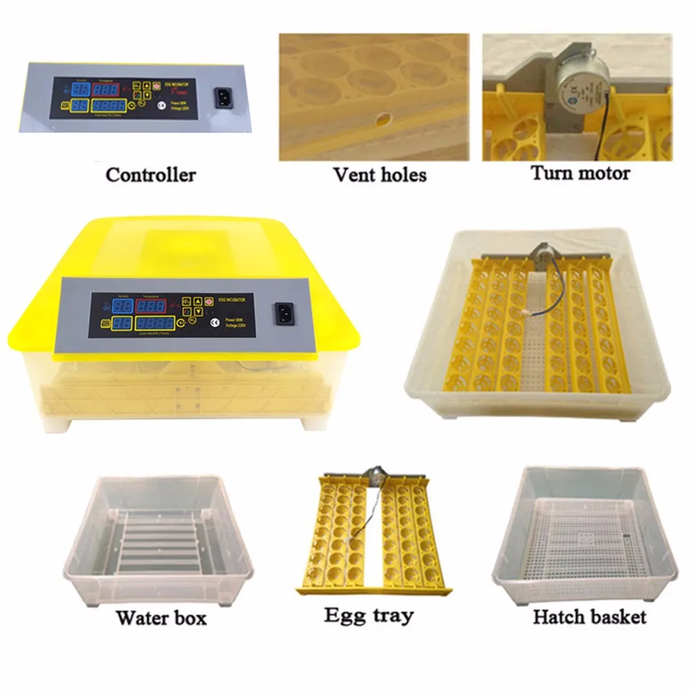 best small incubator for chicken eggs