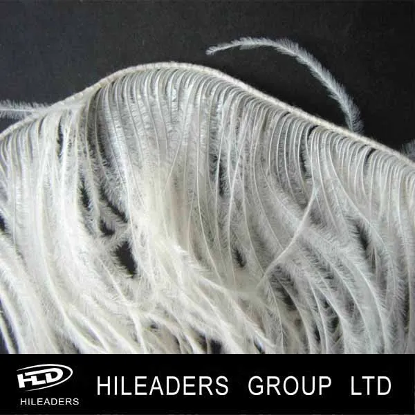 ostrich feather trim (2).jpg