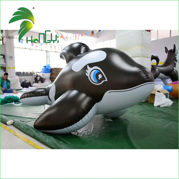 inflatable dolphin