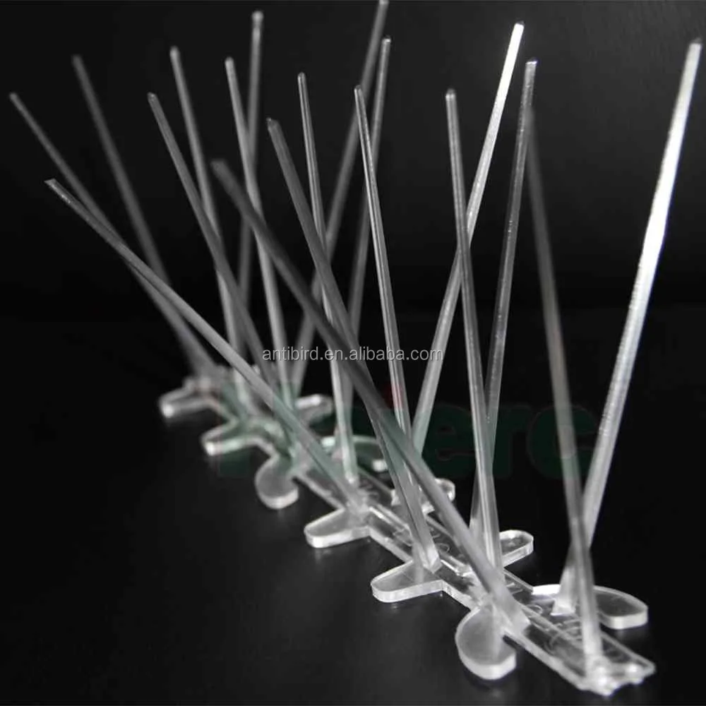 Plastic Bird Spikes Cat Repellent For Antipigeon Pest Control Spikes