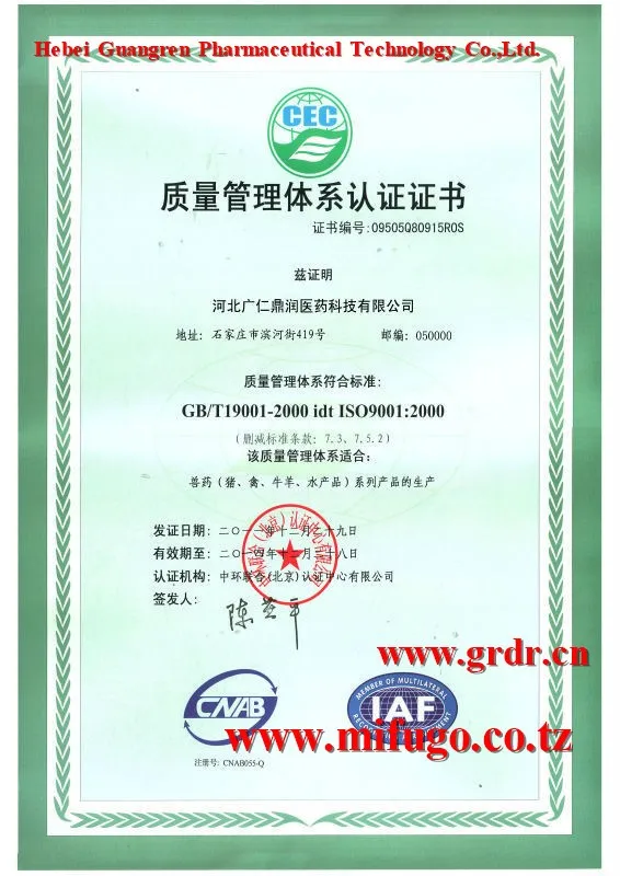 ISO9001.jpg