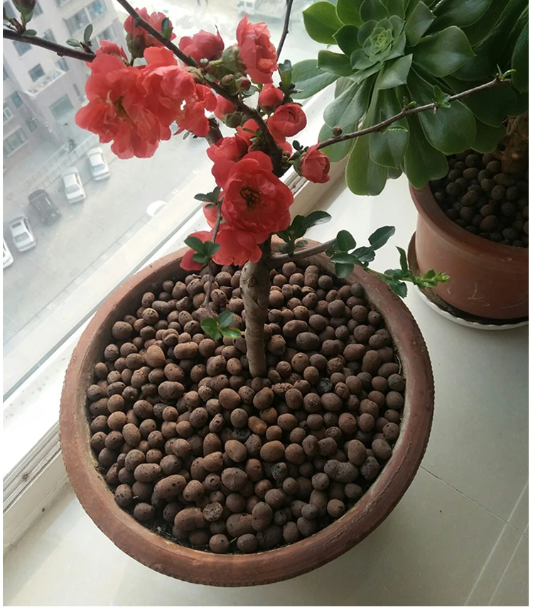 Expanded Clay Pebbles Leca For Growing 812mm Brown Stone Buy Clay