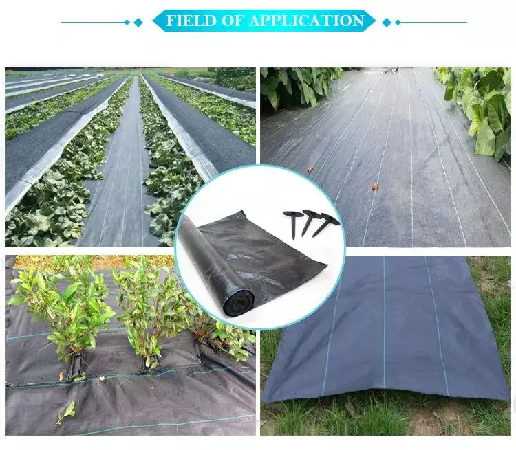 100% PP Woven Agriculture Ground Cover/Mulch Film/Weed Mat